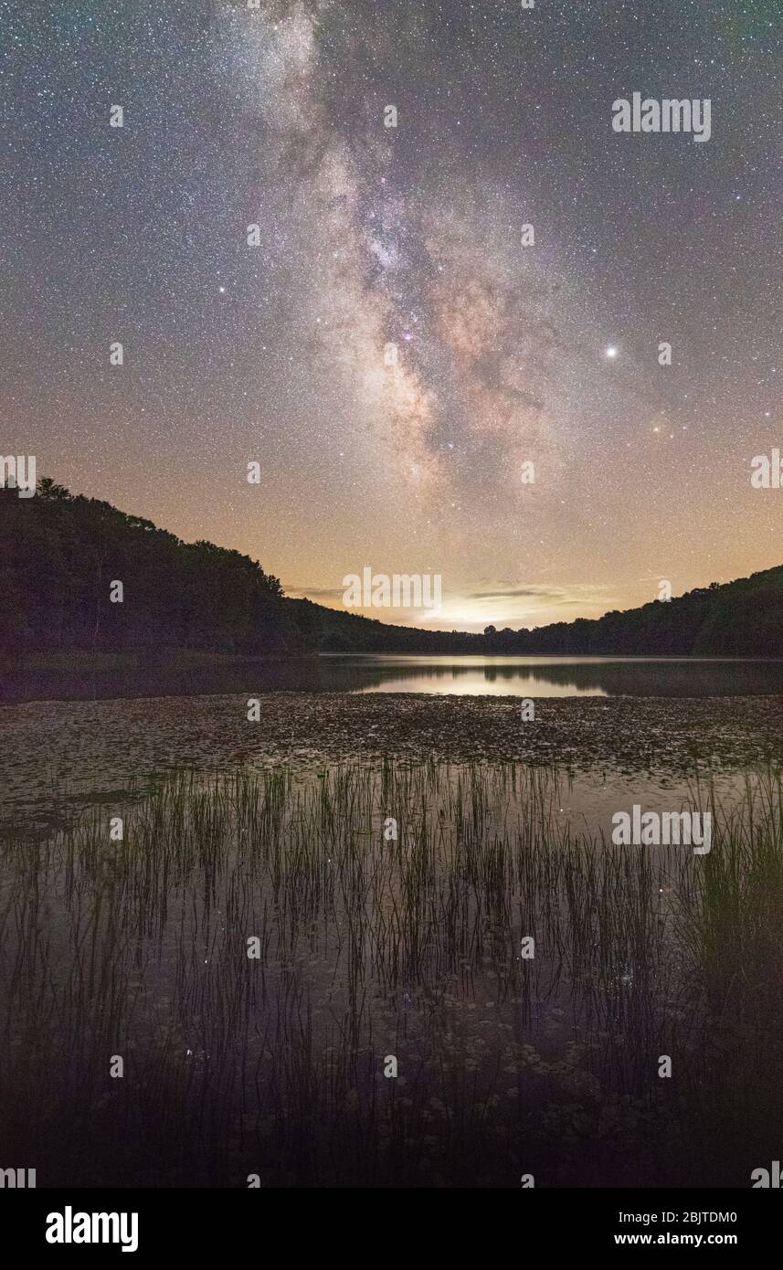 The milky way streams above Summit Lake of the Cranberry Wilderness in West Virginia, stars reflecting in the waters between blades of grass and lily Stock Photo