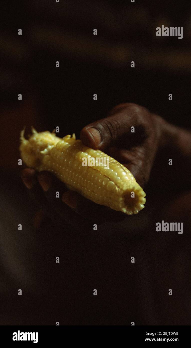 Milho Fervido uma sobremesa habitual dos Angolanos e Africanos. Boiled Corn, an habitual dessert of the Angolans, and Africnans. Stock Photo