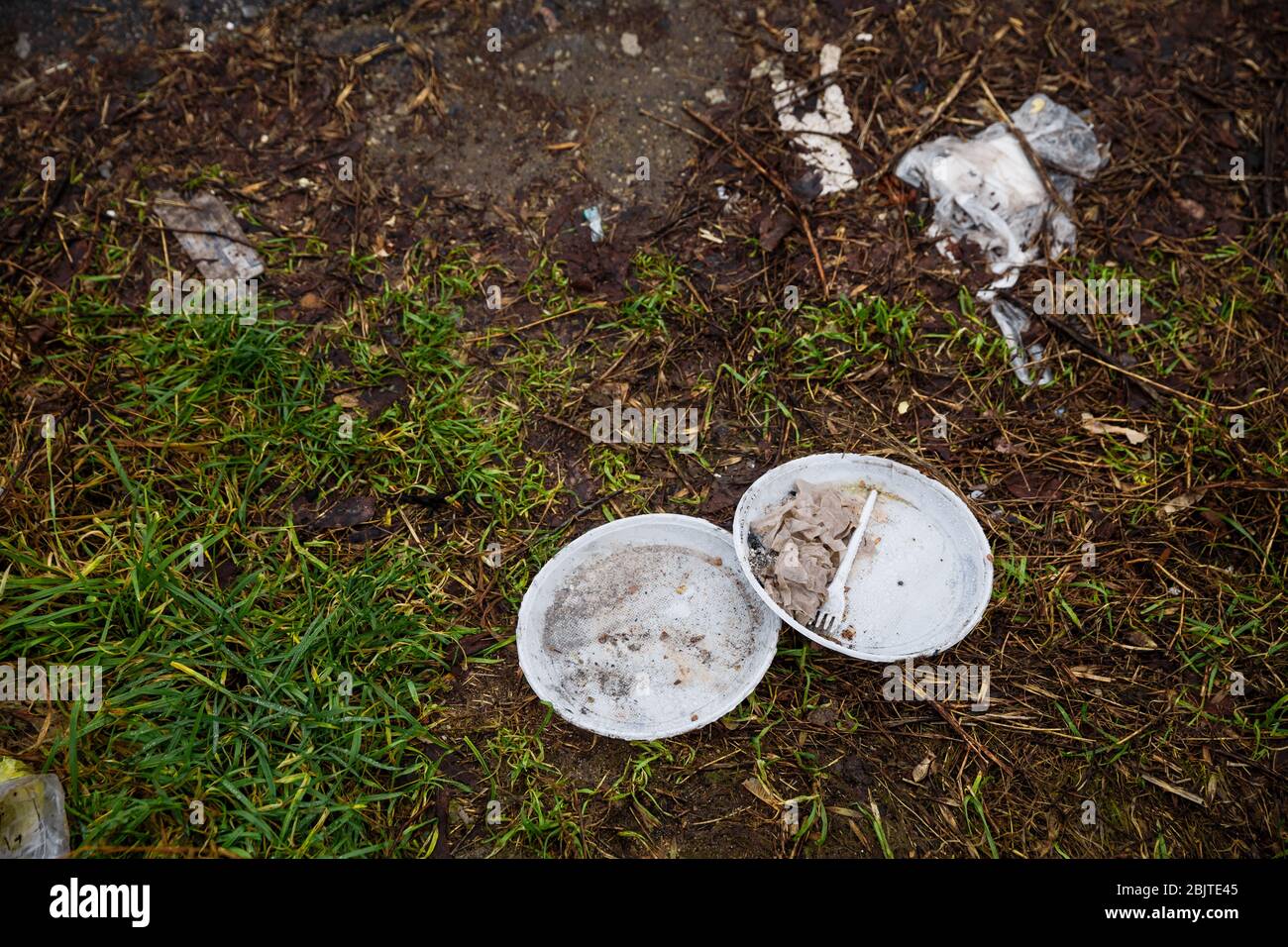 Disposable plastic dishes have long been left in the woods. White plastic slippers, forks are thrown to the ground. Garbage in the forest. The problem of plastic waste pollution. Stock Photo