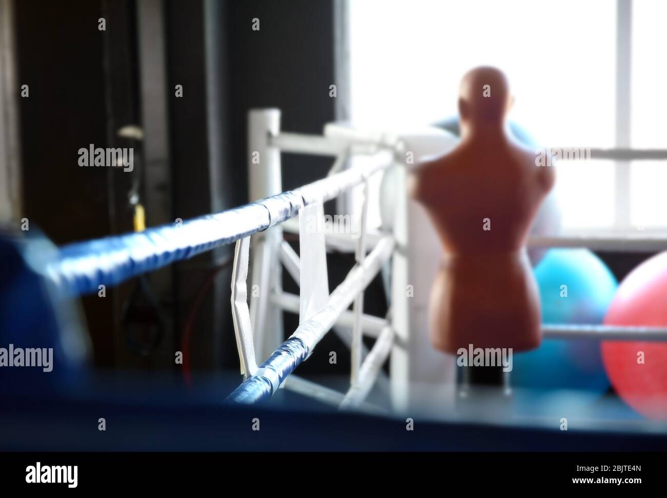 Ropes of boxing ring in gym Stock Photo Alamy