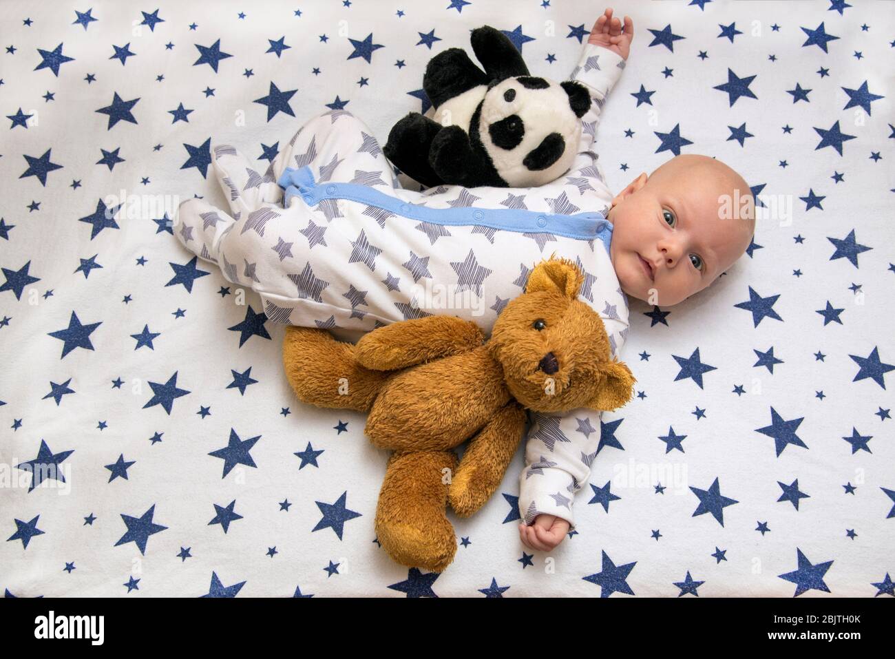 A Newborn Baby Lies In His Crib With A Teddy Bear And A Panda Top View Stock Photo Alamy A Newborn Baby Lies In His Crib With A Teddy Bear And A Panda Top View Stock Photo Alamy