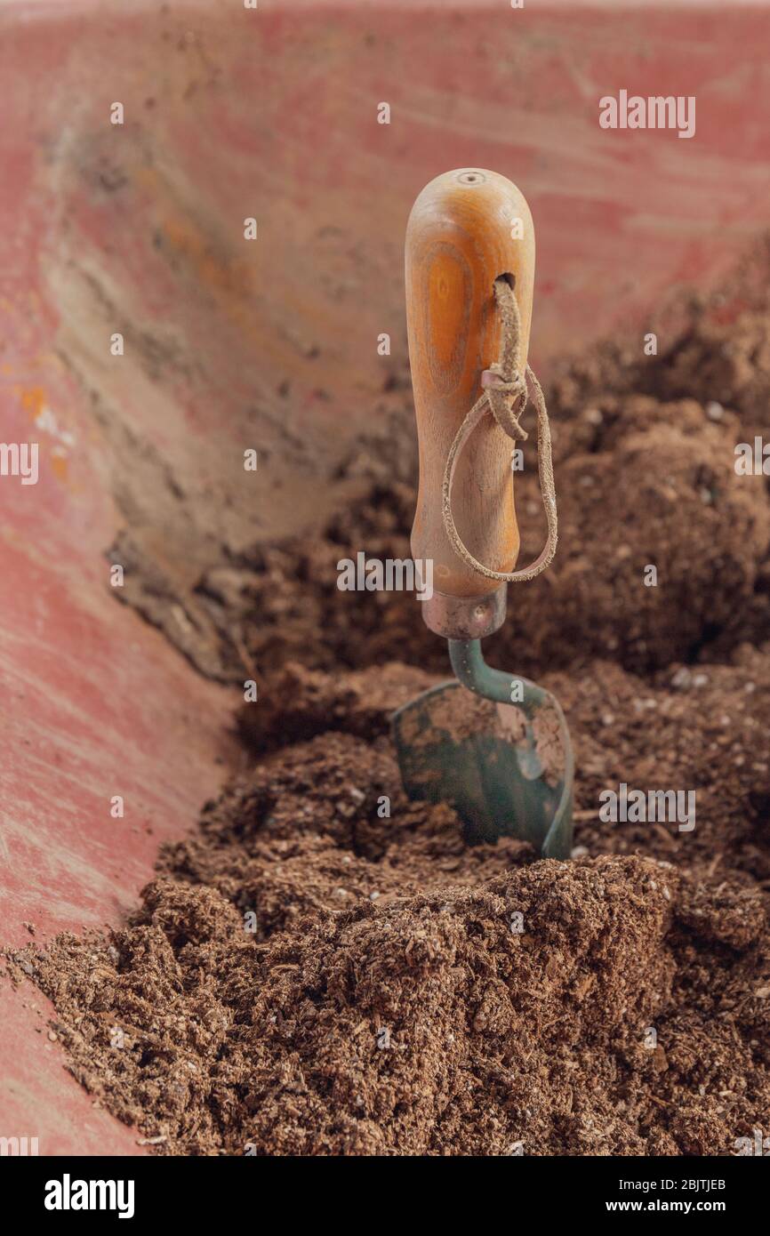 Closeup of Garden Spade in Soil in Wheelbarrow (Vertical Stock Photo ...