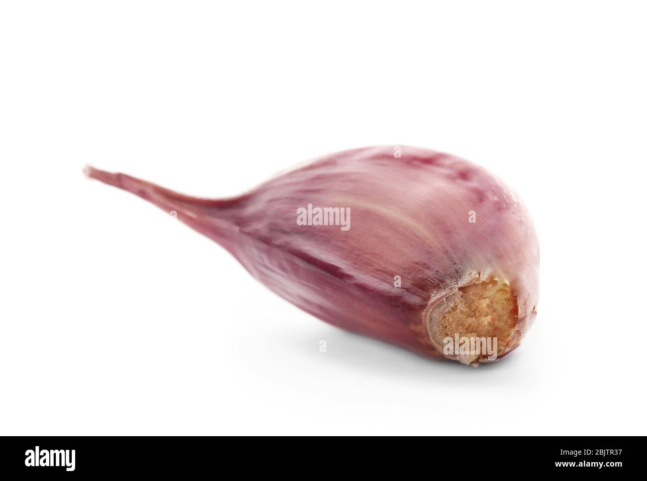 Fresh garlic clove on white background Stock Photo - Alamy
