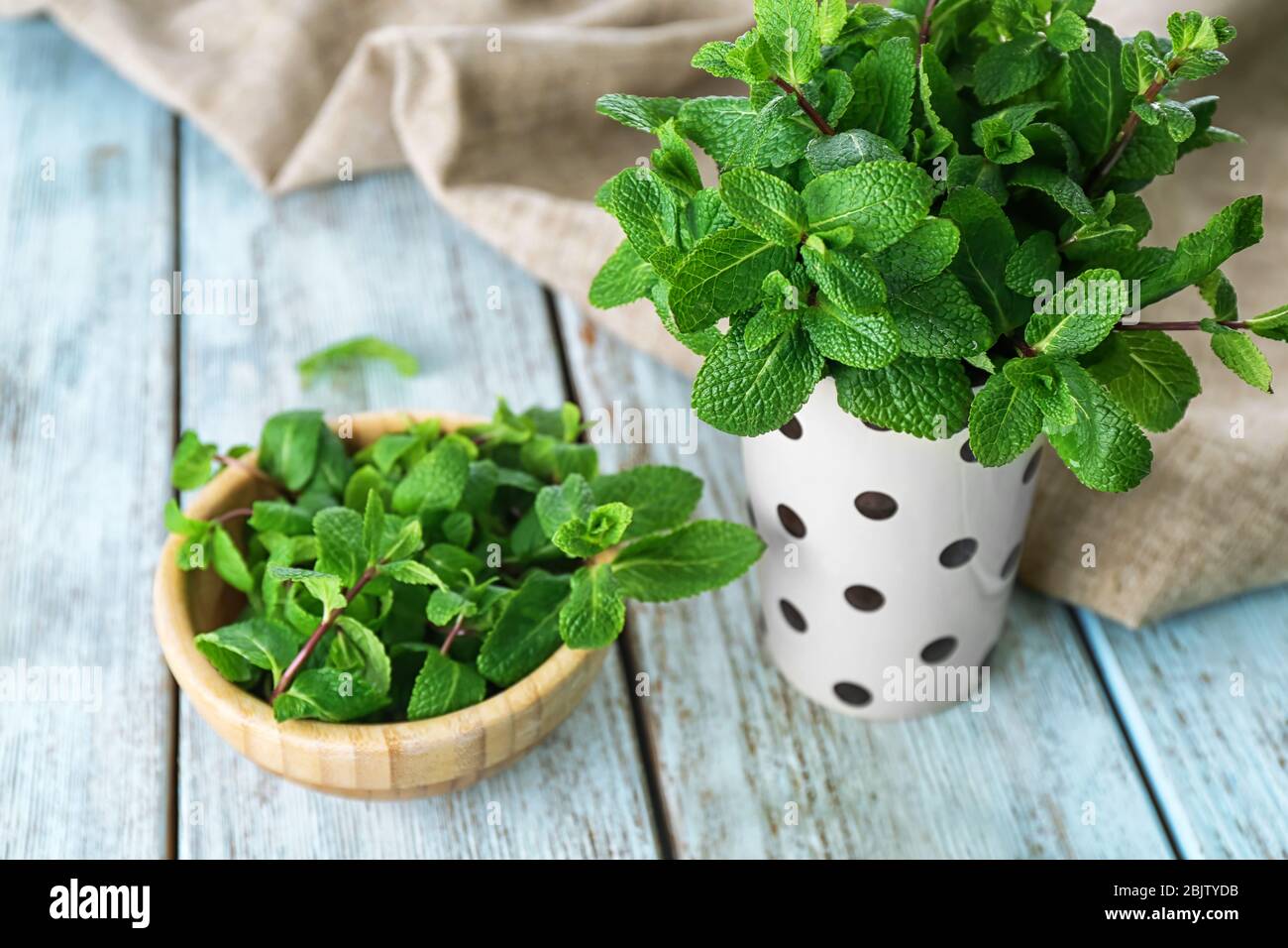 Fresh lemon balm in kitchenware on table Stock Photo