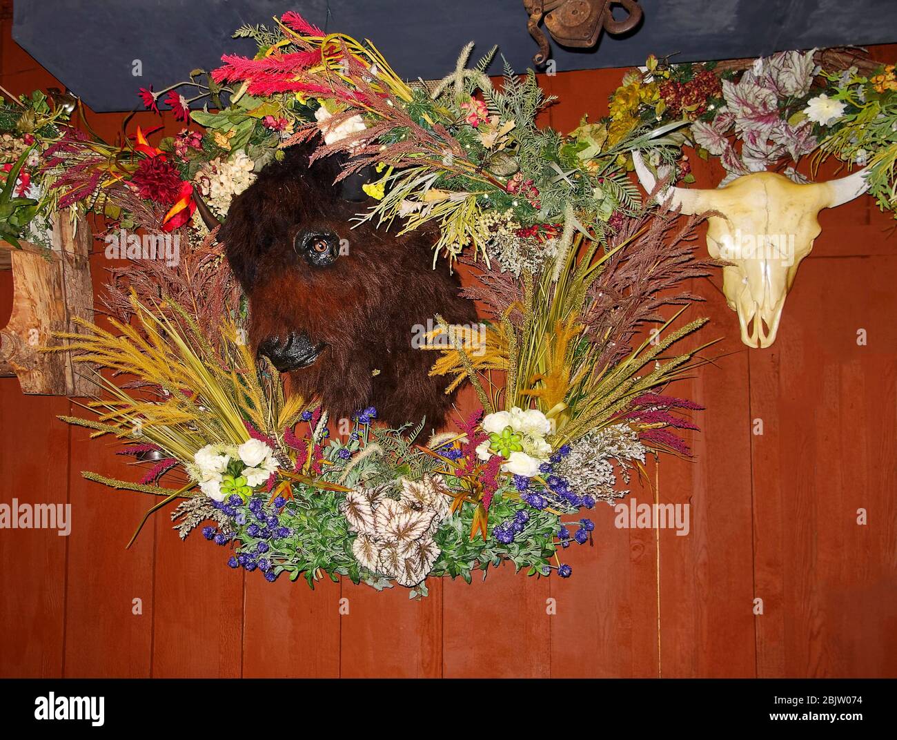 eclectic wall decorations, artificial wreath around stuffed animal head,  animal skull, wood paneling, rustic, PR Stock Photo - Alamy