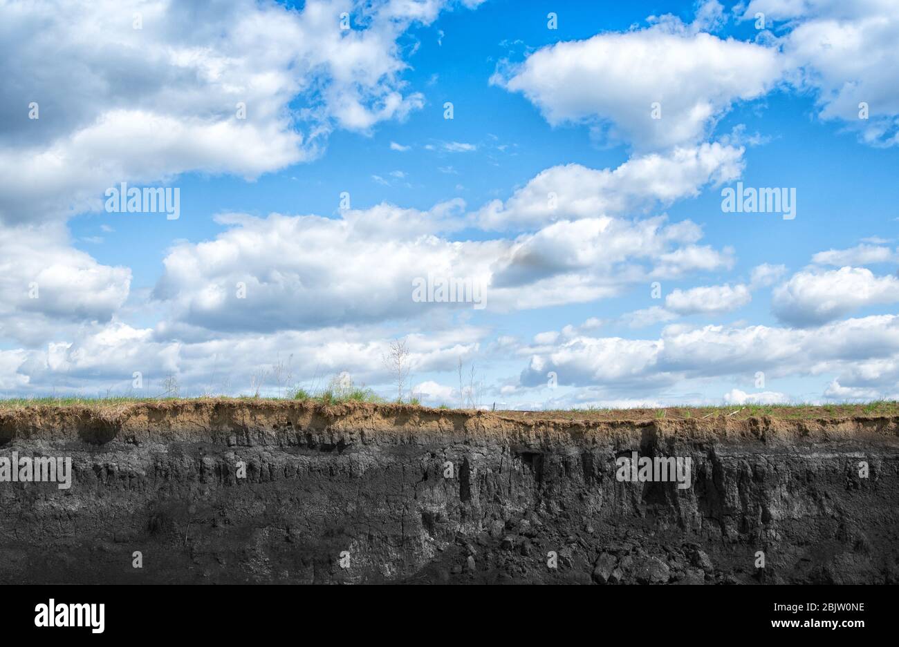 Stratigraphic section of soil with layers and grass roots. Stock Photo