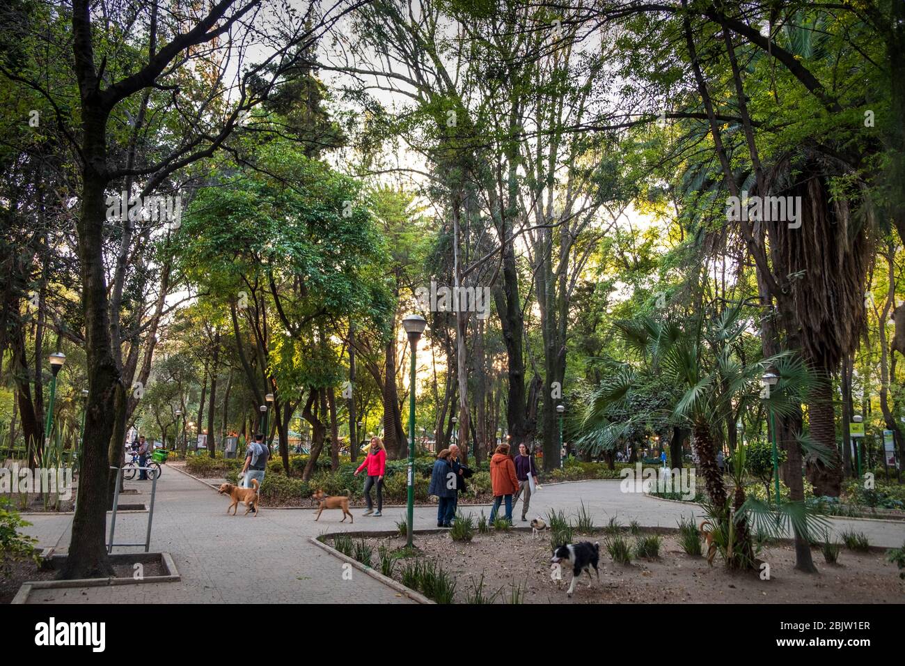 Parque España in Condessa Neighborhood, Mexico City, Mexico Stock Photo