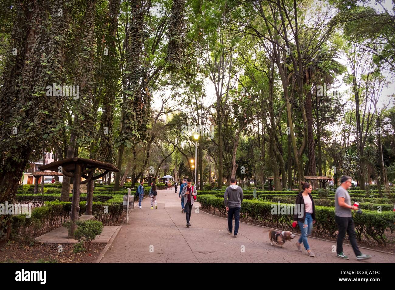 Parque Mexico in Condessa Neighborhood  with people,  Mexico City, Mexico Stock Photo