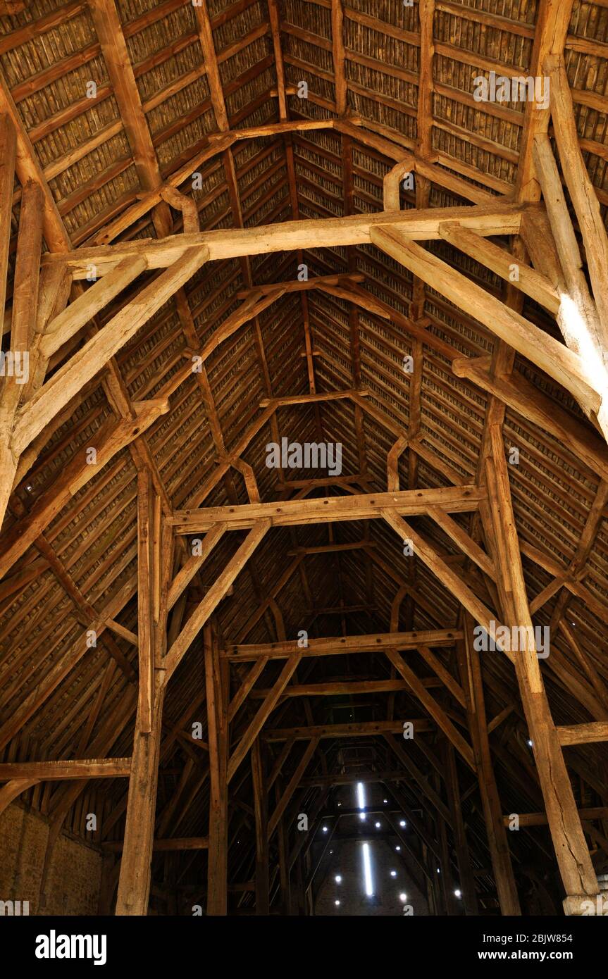 Internal oak wood structure of Great Coxwell tithe barn; built about 1292 for the Cistercian Beaulieu Abbey in Hampshire; which had held the manor of Stock Photo
