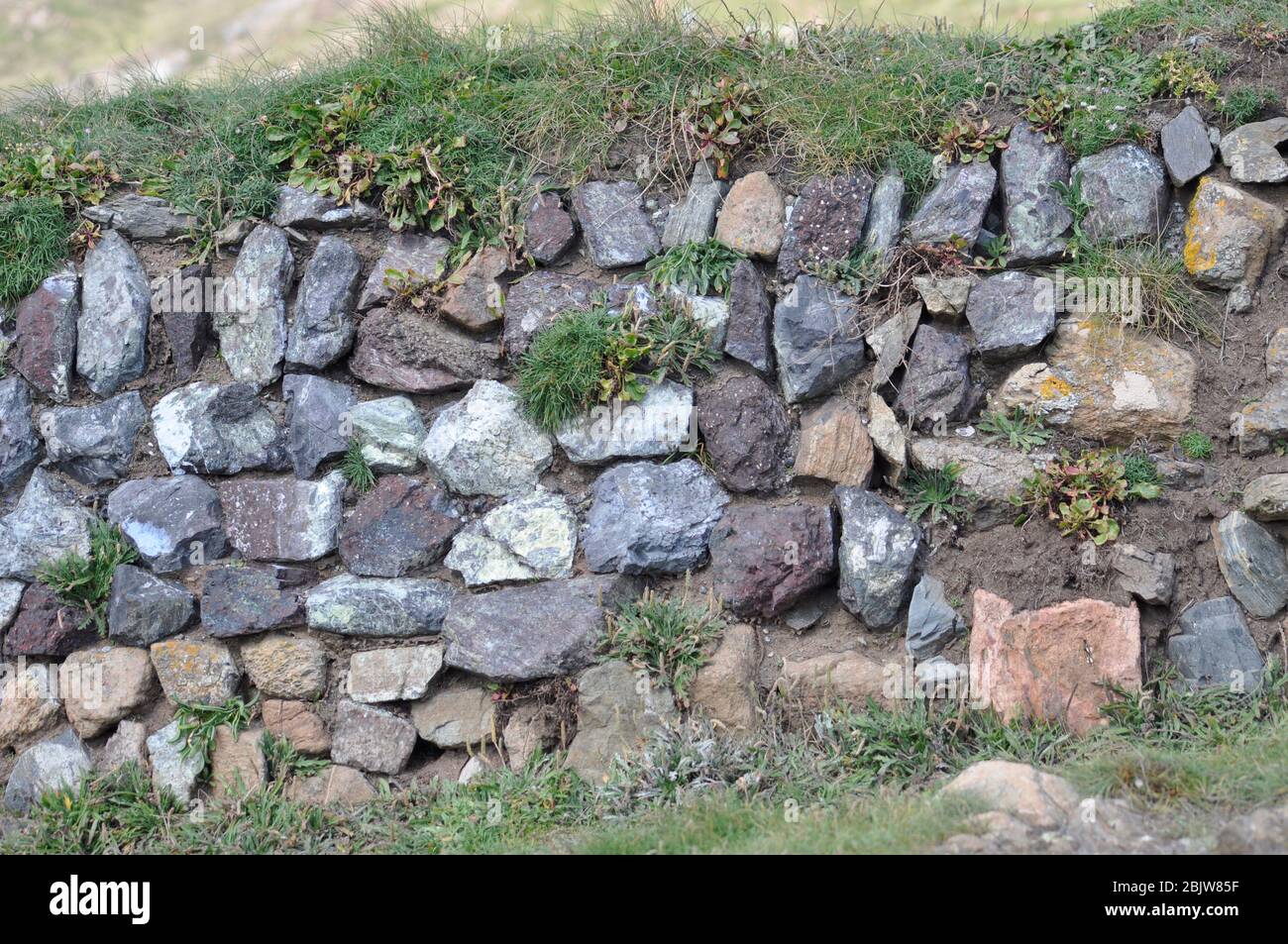 Stone wall on the Lizard in Cornwall,stones are multi coloured Granite including serpentine. Stock Photo