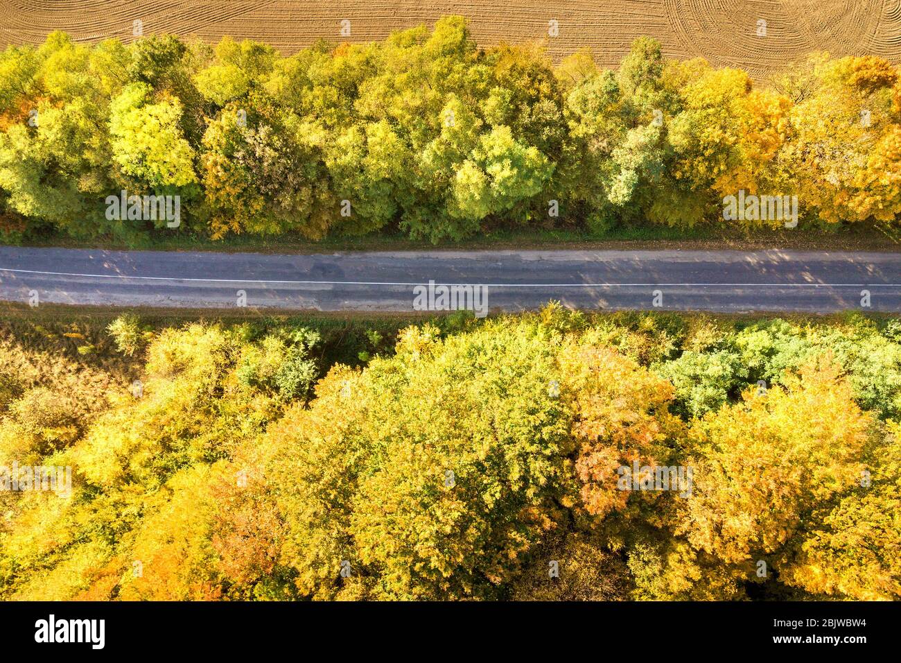 Aerial view of empty road between yellow fall trees Stock Photo - Alamy