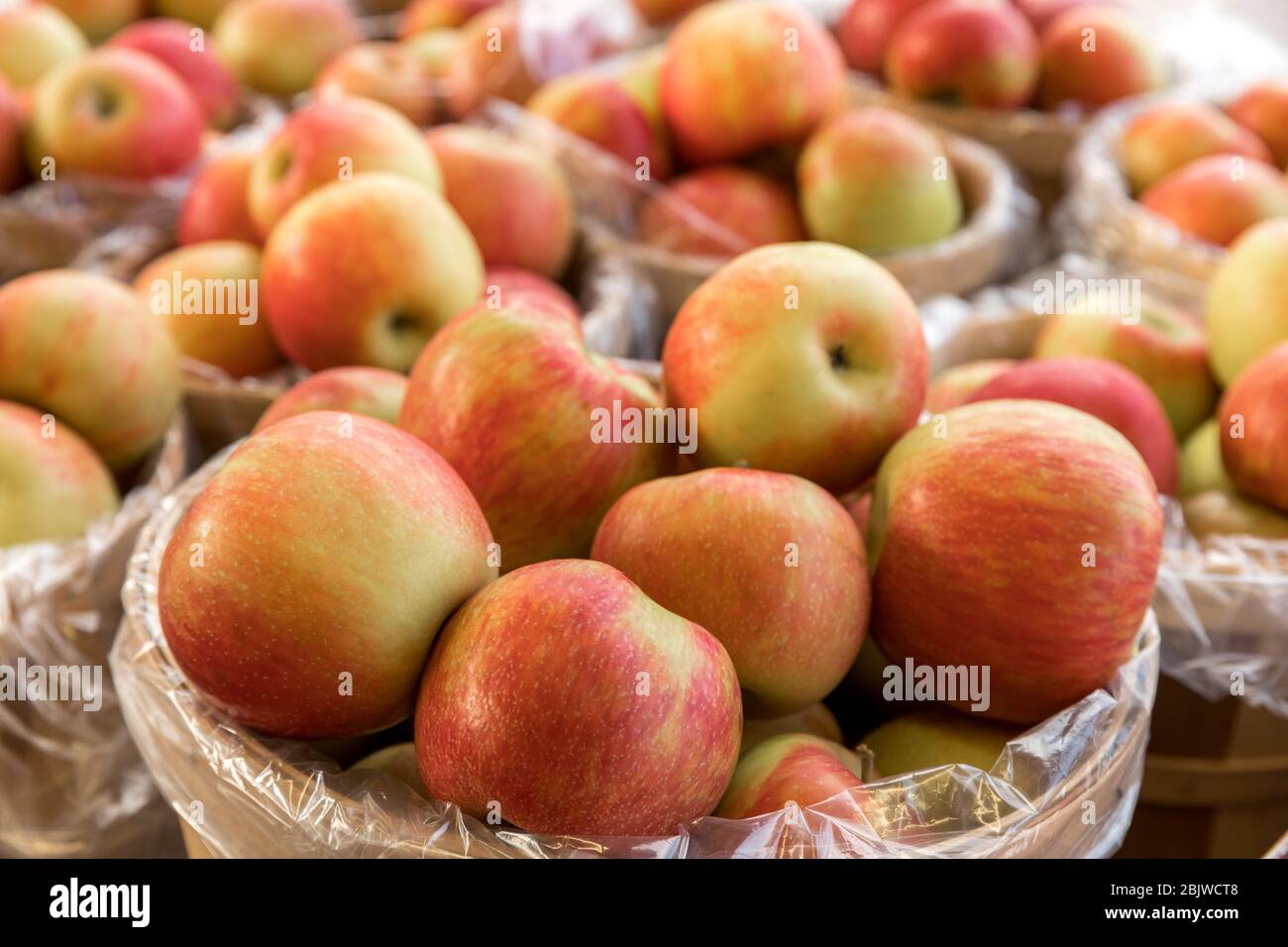 Bushel basket of apples Stock Photo