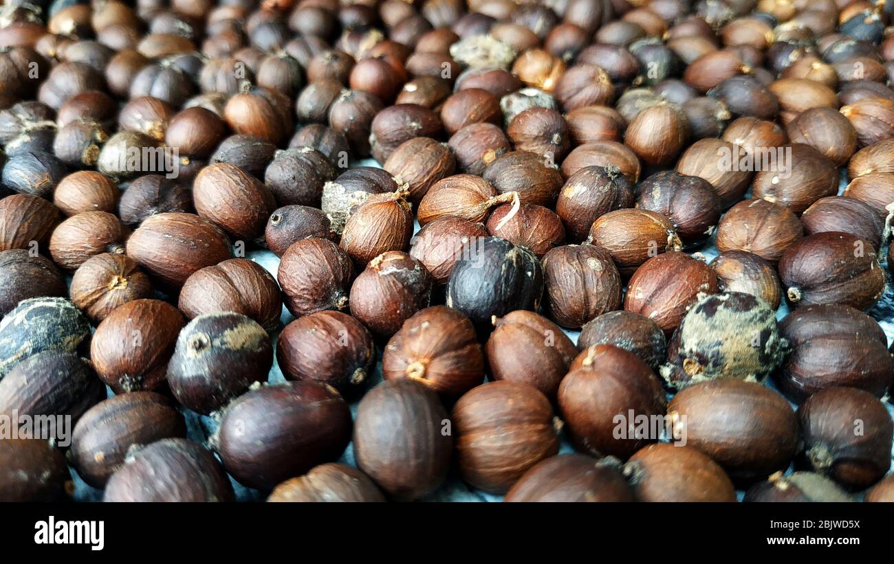 Unprocessed coffee beans, still pure Stock Photo