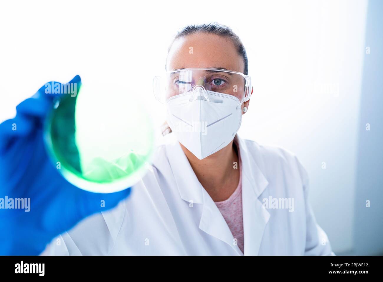 Young female researcher or Scientist examining solution in petri dish at a laboratory. The researcher is analyzing the medicine related innovation. Bi Stock Photo