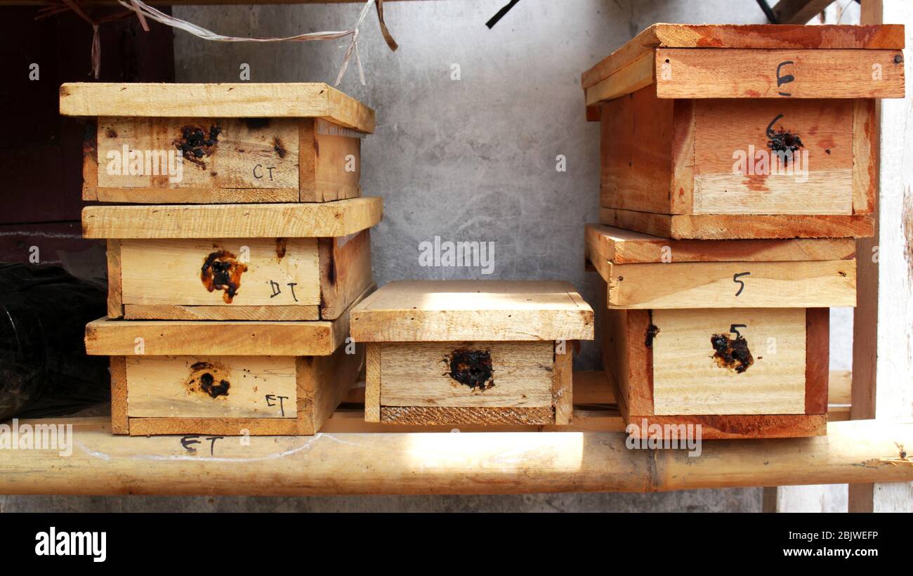 A wooden box for bees to collect honey Stock Photo - Alamy
