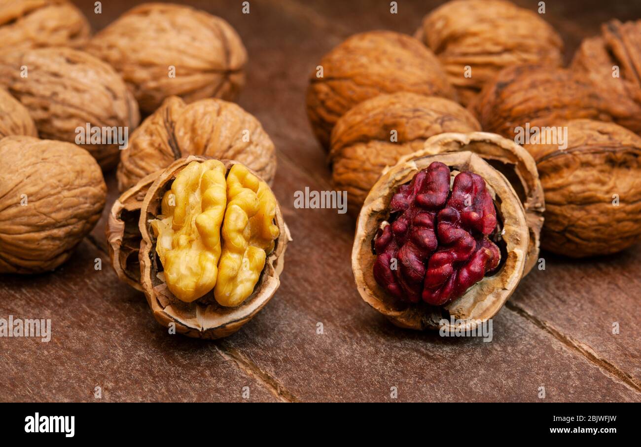 Red Danube and Juglans regia walnuts on wooden background, comparison concept. It originated from a cross between English and Persian walnut trees Stock Photo