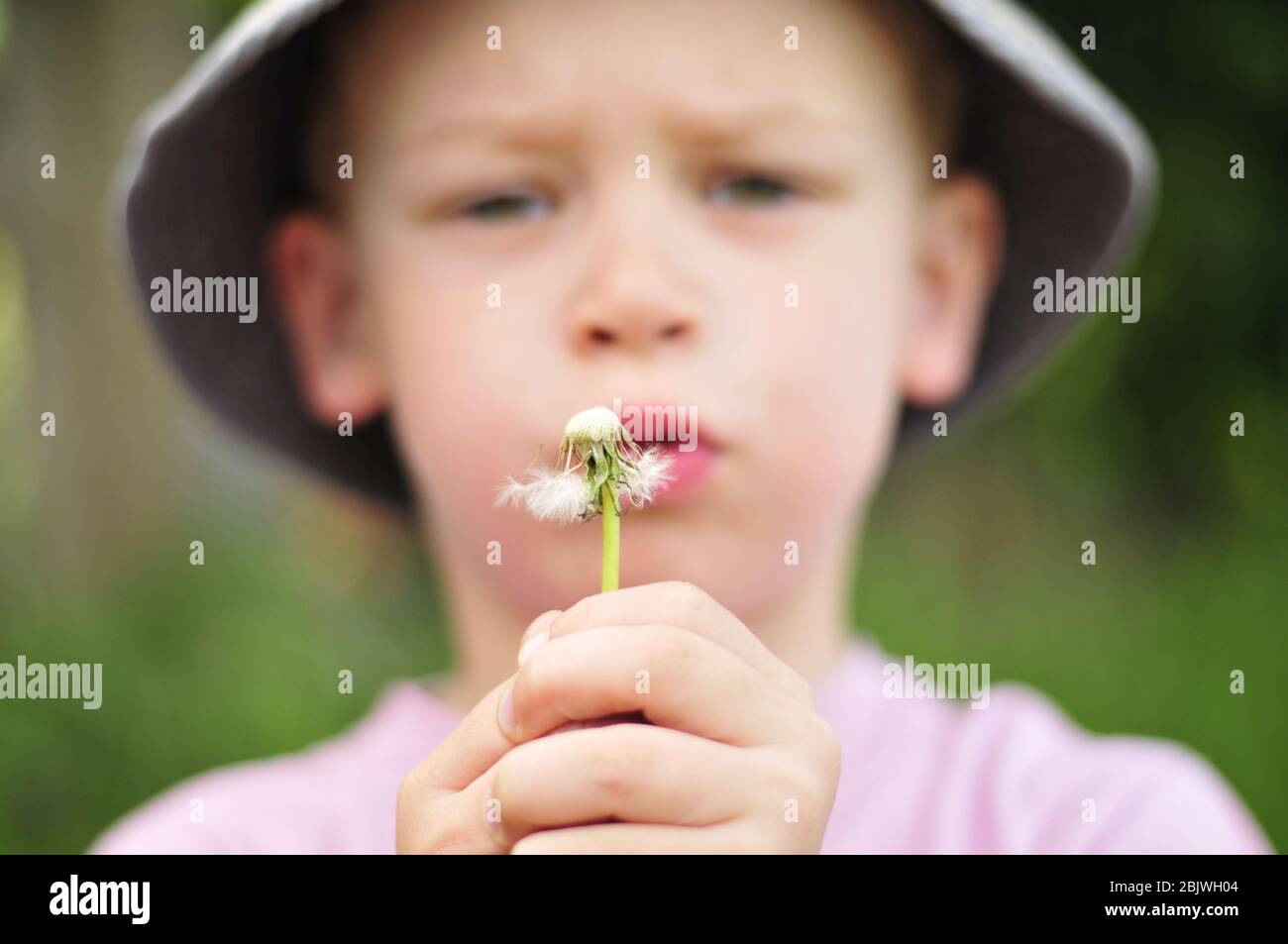 Wishing blow balls hi-res stock photography and images - Alamy