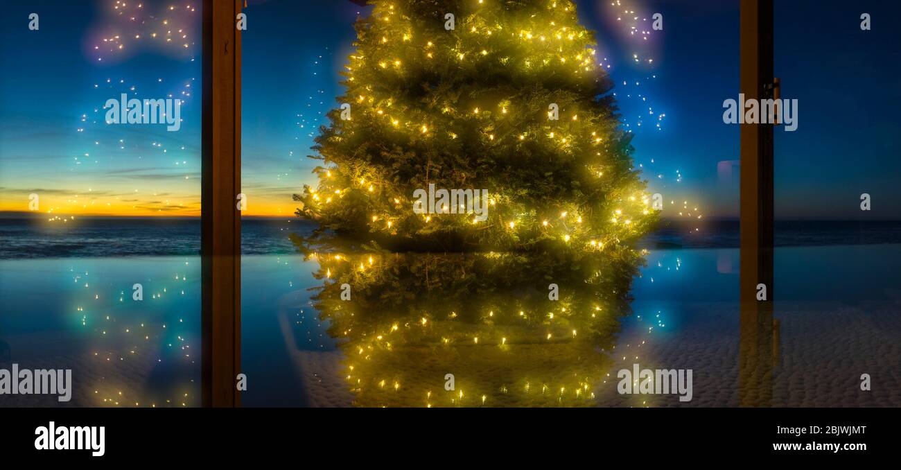 Christmas tree at dawn on oceanfront Carmel California home. (property