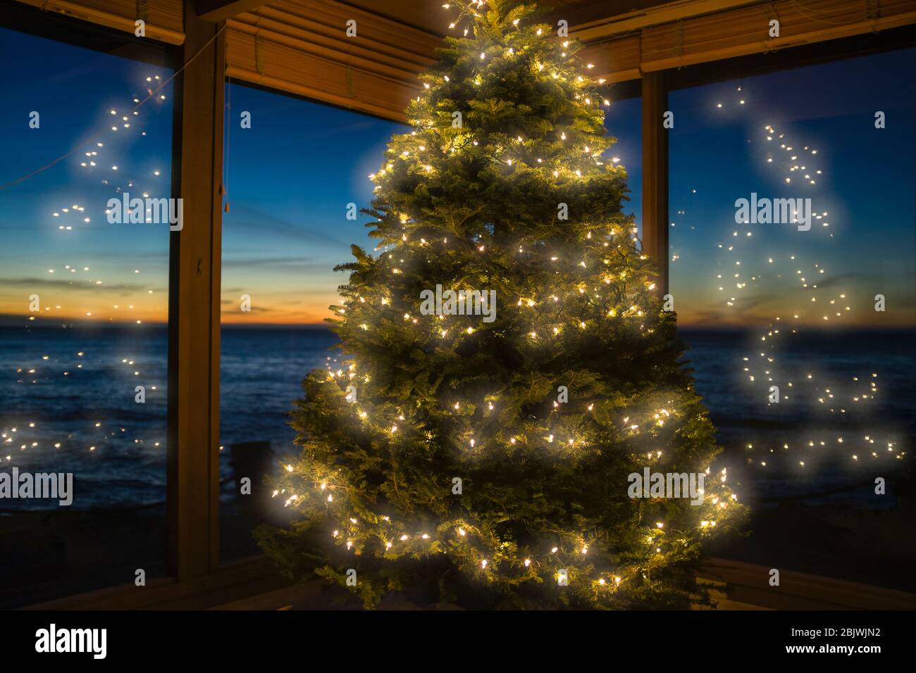 Christmas tree at dawn on oceanfront Carmel California home. (property