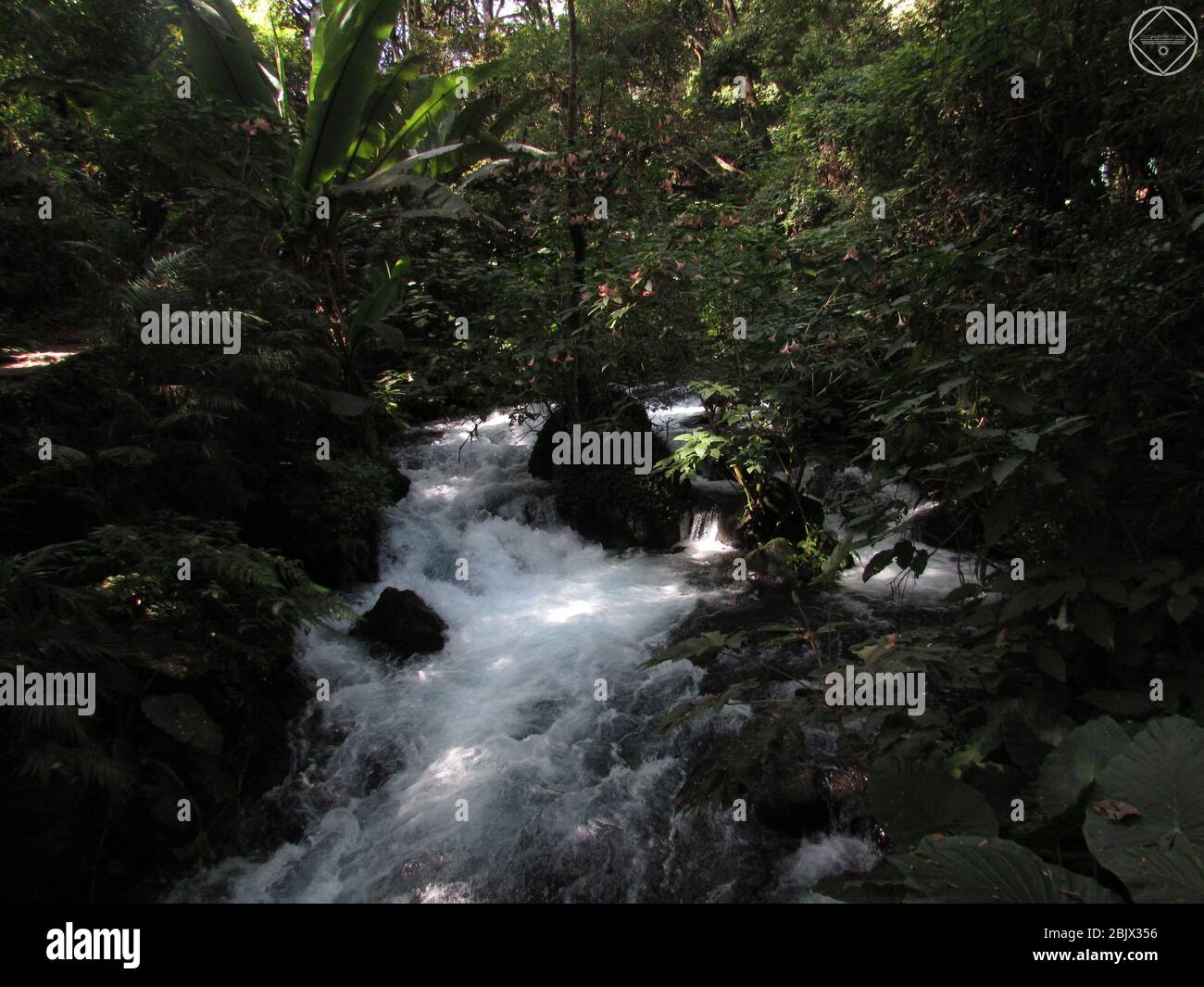 river with plants and rocks Stock Photo - Alamy