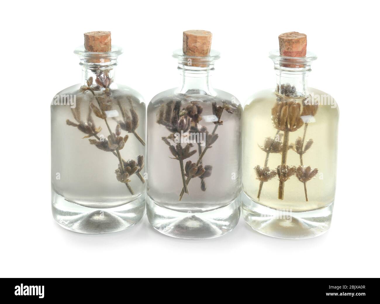Bottles of perfume oil with lavender on white background Stock Photo ...