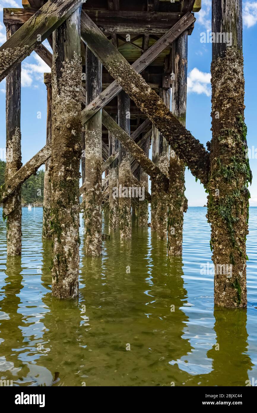 Dock on Bowman Bay in Deception Pass State Park, Fidalgo Island