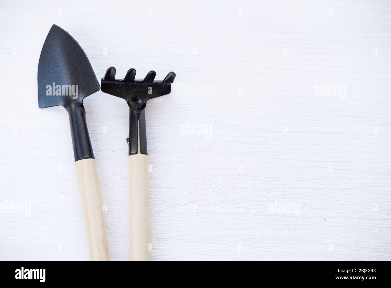 Tools for gardening at home. Growing food on windowsill. Copyspace for text, top view. Flatlay on white wooden background. Stock Photo