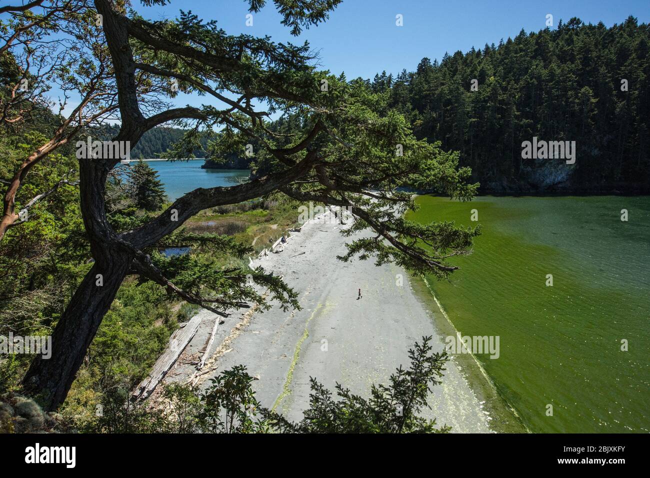 Beach between Bowman Bay on right, and Lottie Bay on left, in Deception Pass State Park, Fidalgo Island, Washington State, USA Stock Photo