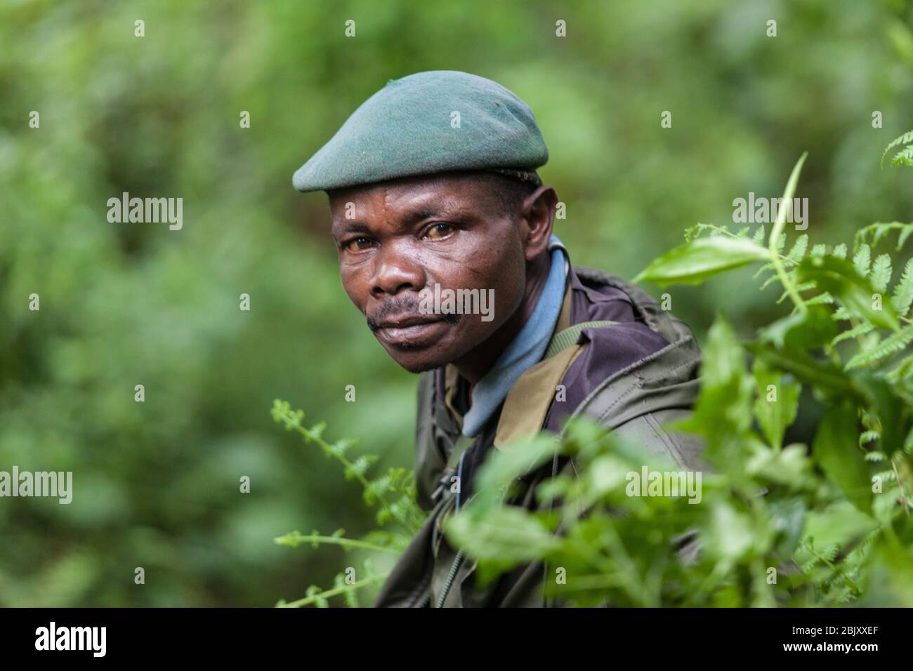 Bukavu, Democratic Republic of the Congo : African ranger portrait in national park gorillas conservation center Stock Photo