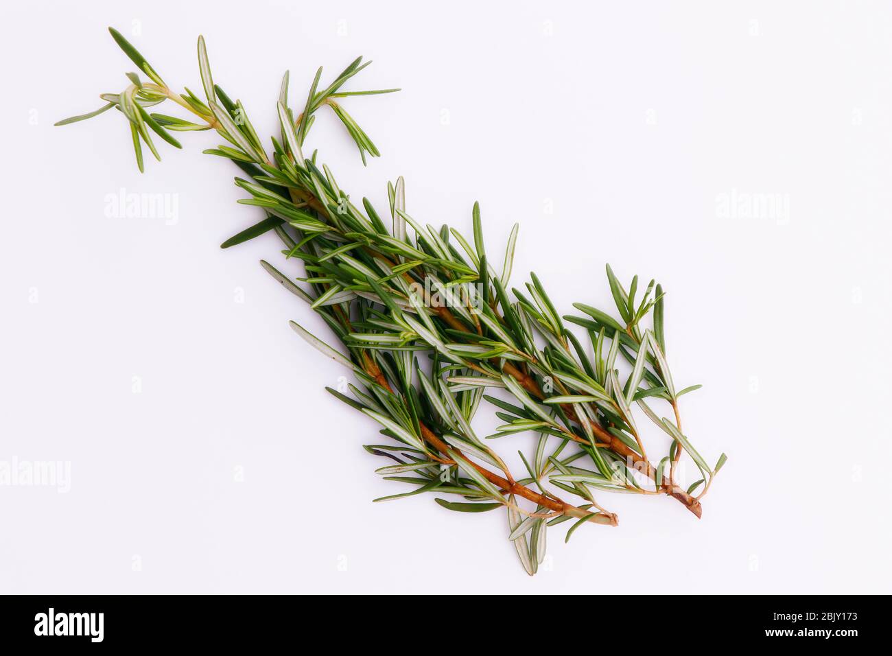 Rosemary isolated on white background, Top view. Stock Photo