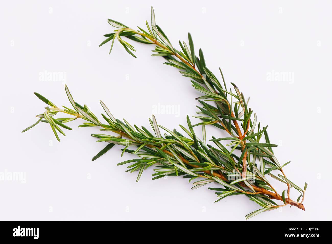 Rosemary isolated on white background, Top view. Stock Photo