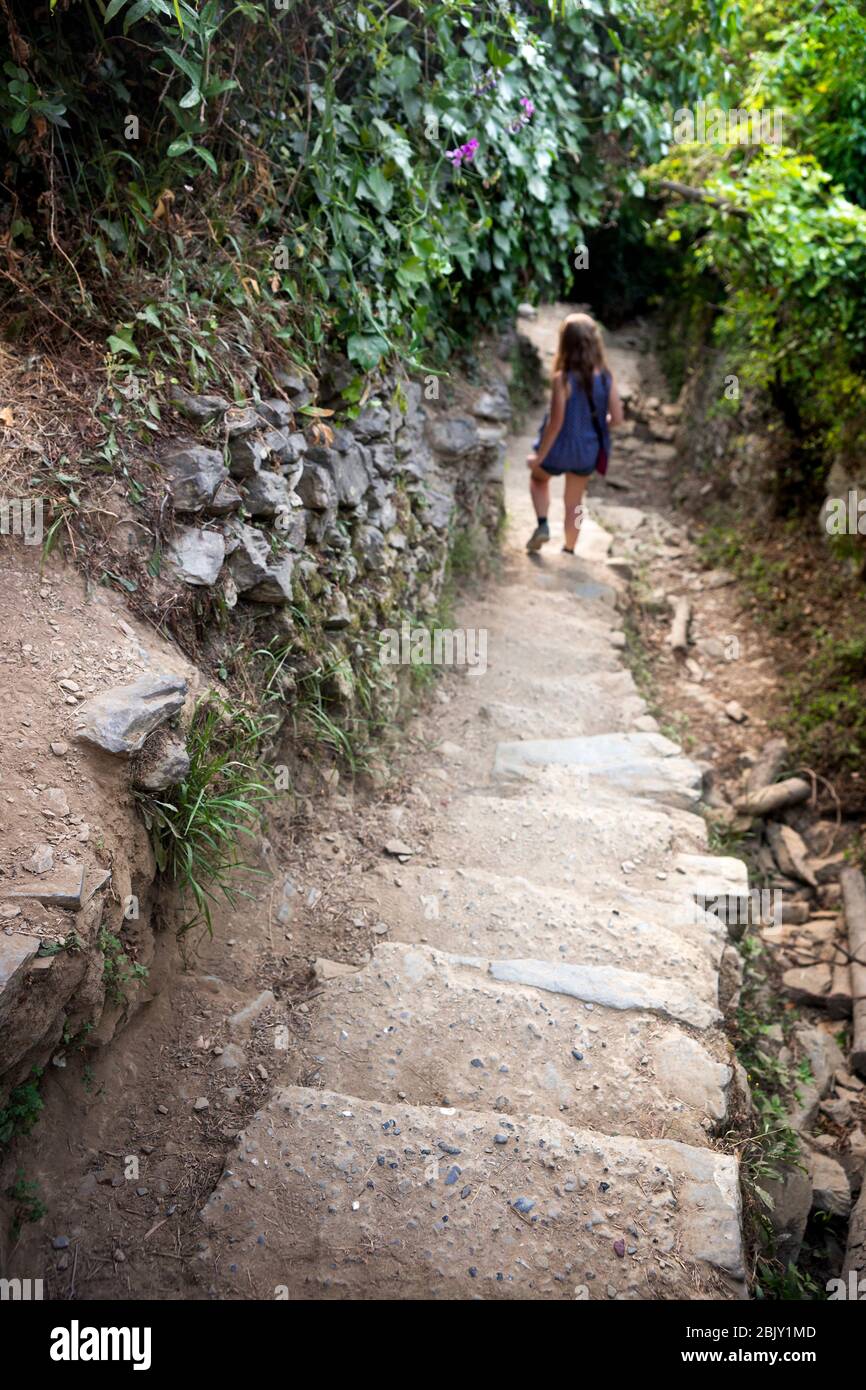 Female tourist descends long passage of concrete steps on the famous coastal hiking trail heading to Monterosso from Vernazza village, Cinque Terre; I Stock Photo