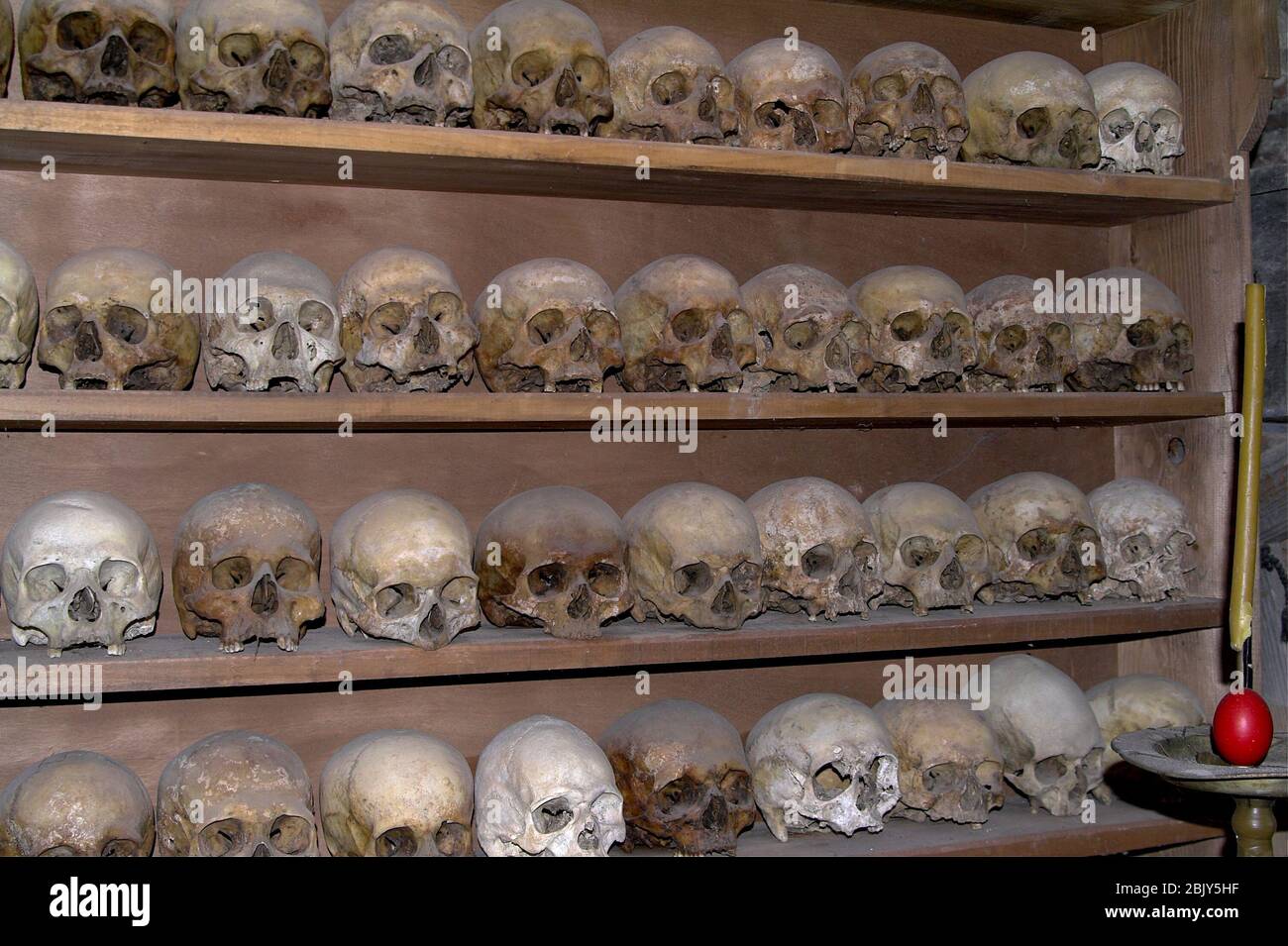 Human skulls standing on a shelf. Menschliche Schädel, die auf einem Regal stehen. Ludzkie czaszki stojące na półce. 站立在架子的人的頭骨。 Stock Photo