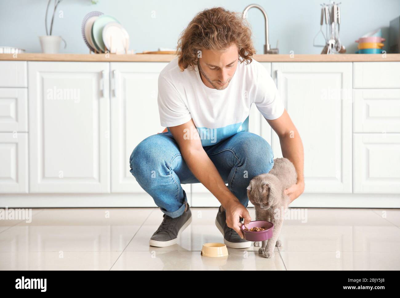 Man feeding cute funny cat in kitchen Stock Photo