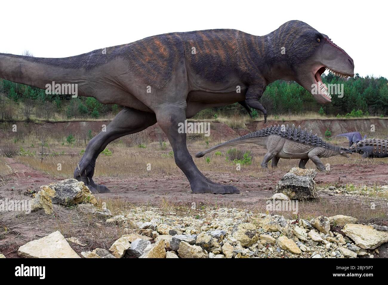 Dinosaurs - a life-size model, life-size reconstruction. Dinosaurier - ein lebensgroßes Modell,  lebensgroße Rekonstruktion. Dinozaury. 恐龍-實物大小的重建。 Stock Photo