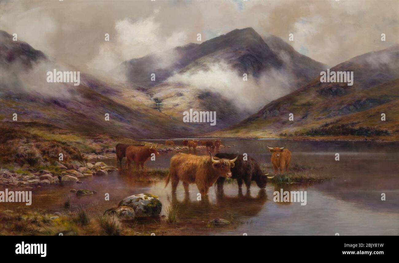 highland-cattle-watering-by-louis-bosworth-hurt-stock-photo-alamy