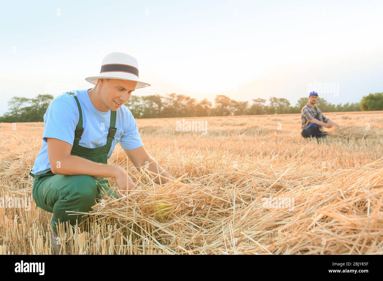 Farmer sitting wheat field harvest hi-res stock photography and images ...