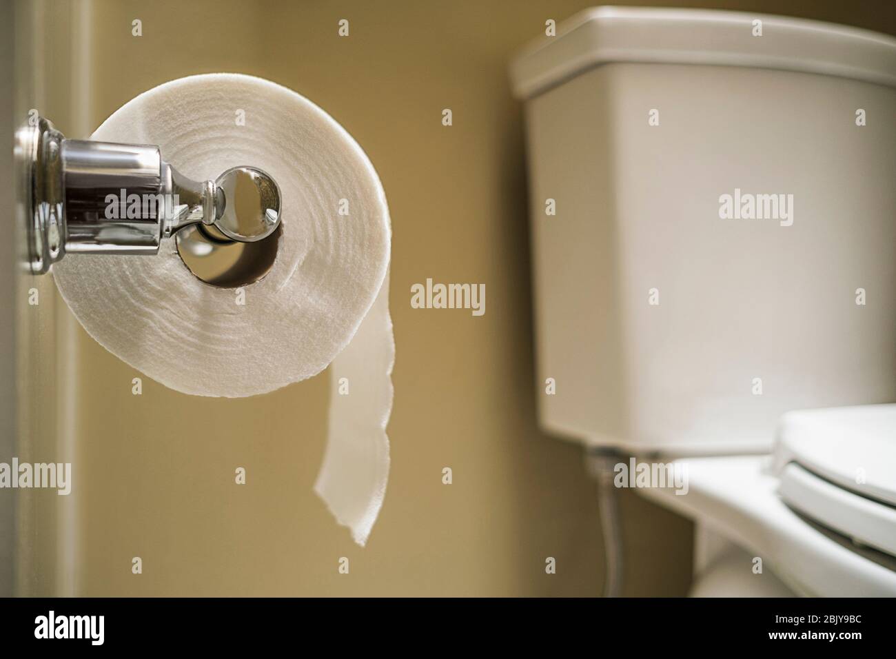 Close up of toilet paper on toilet roll holder Stock Photo