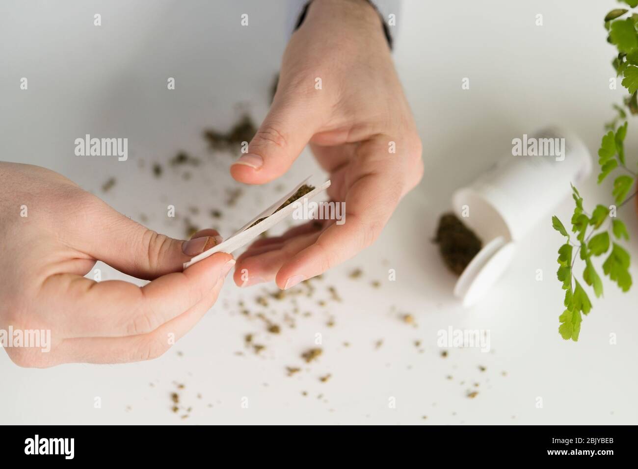 Close up of person rolling a jointÂ Stock Photo