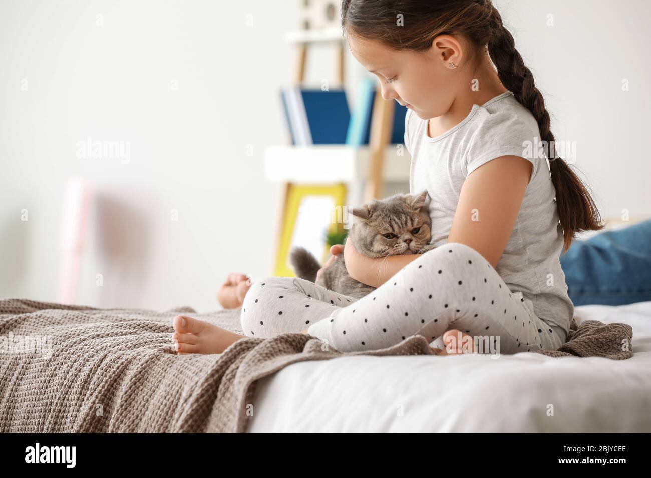 Little girl with cute cat sitting on bed at home Stock Photo - Alamy