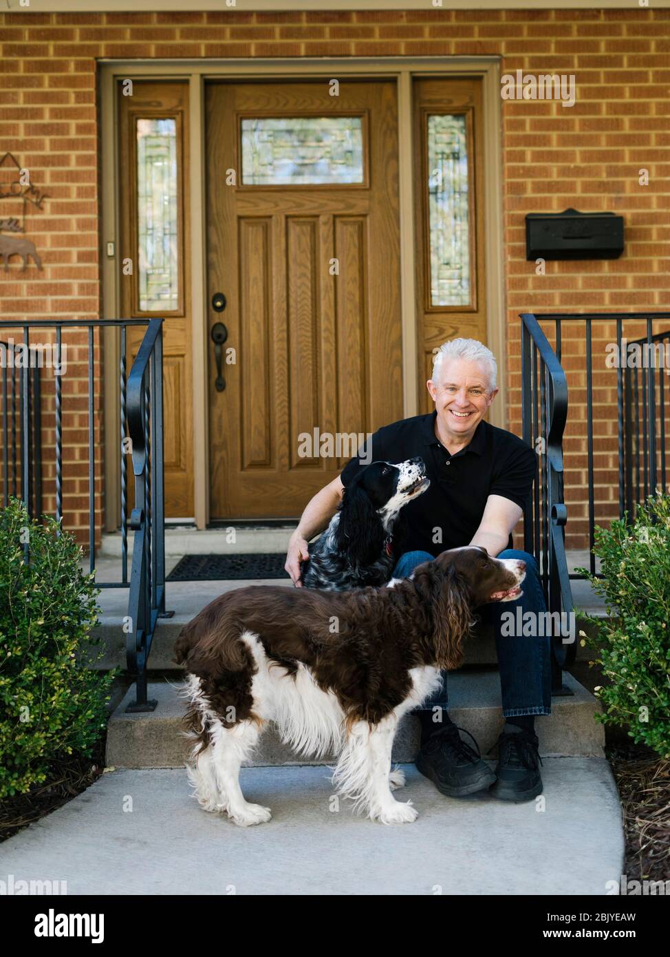 Are Springer Spaniels Good House Dogs