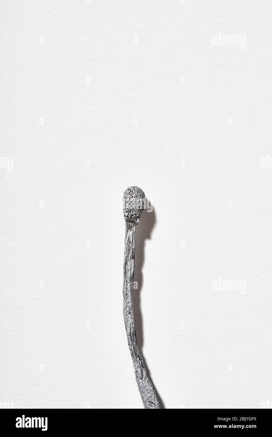 Burnt matchstick on white background Stock Photo