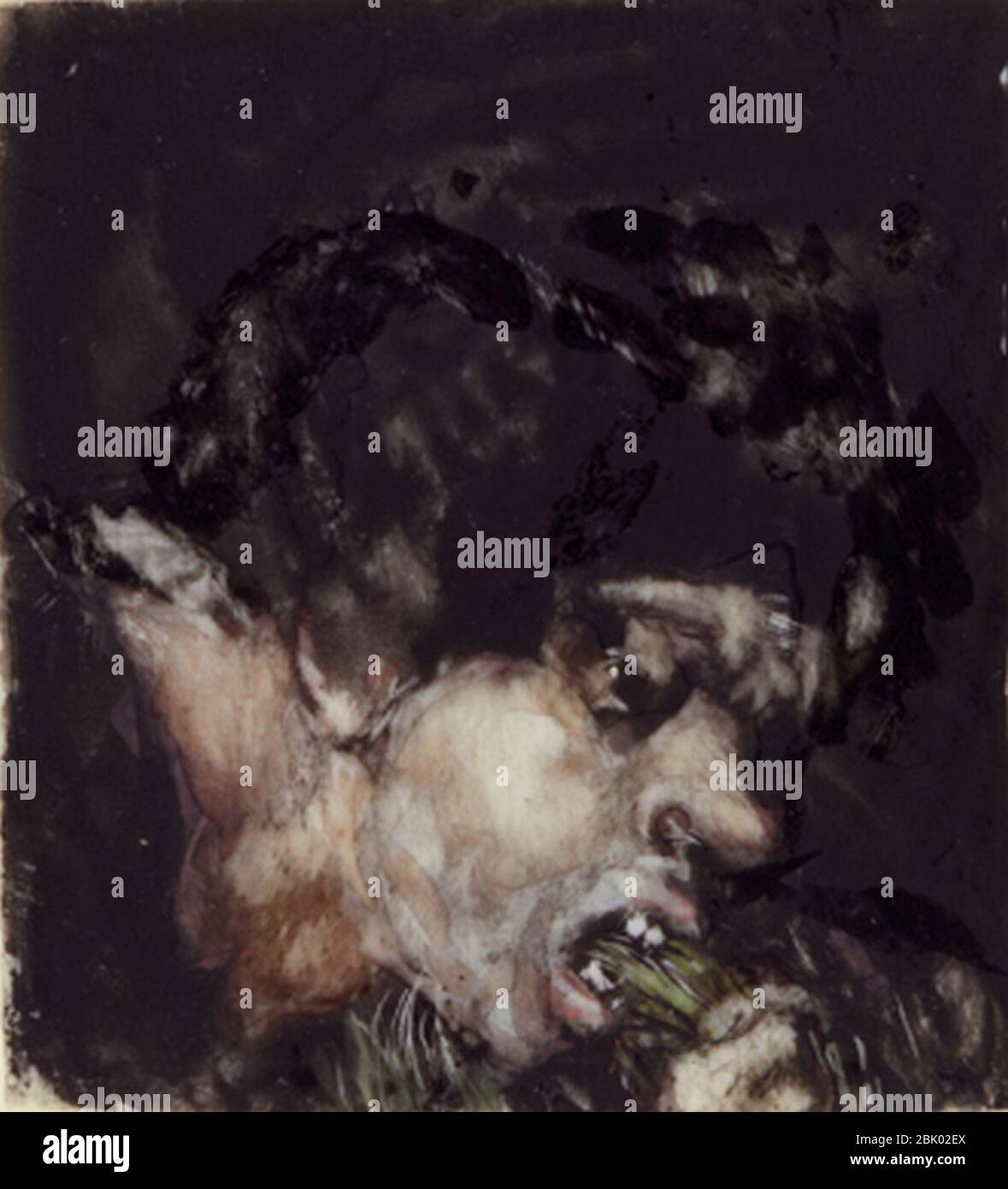 Hombre comiendo puerros Francisco de Goya. Stock Photo