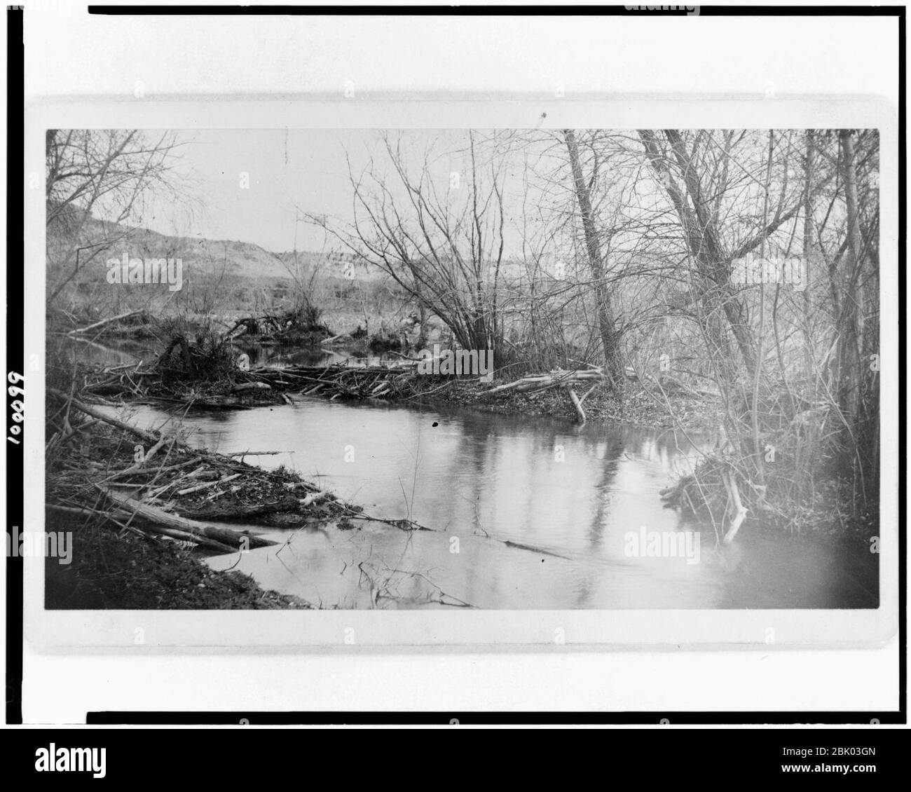 Home of the beaver, Clear Creek, Arizona Stock Photo - Alamy