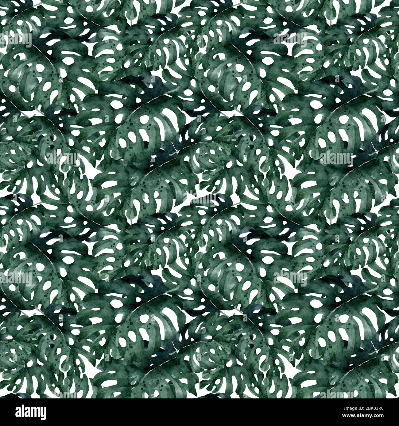 Tropical seamless pattern with jungle leaves. Exotic leaves