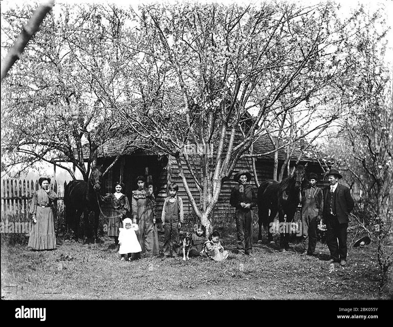 Homesteaders posed with their horses outside of log cabin probably