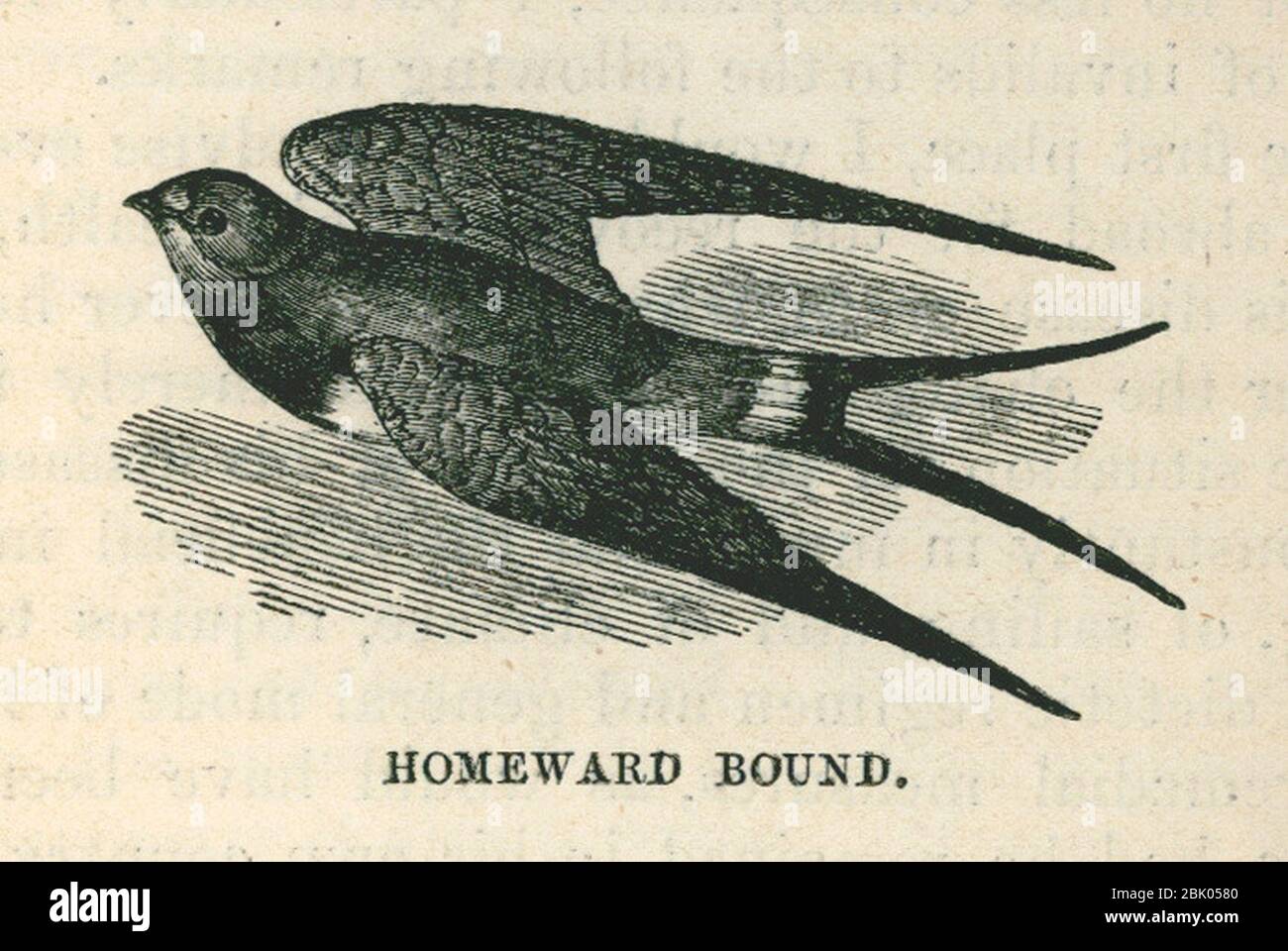 Homeward bound - Bennet James Henry M - 1875. Stock Photo