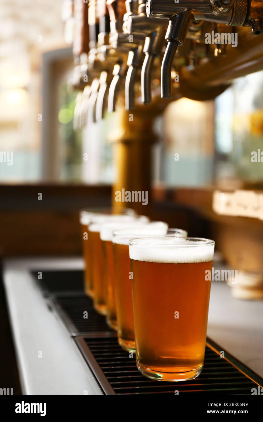 Glasses of fresh draft beer on bar counter Stock Photo Alamy