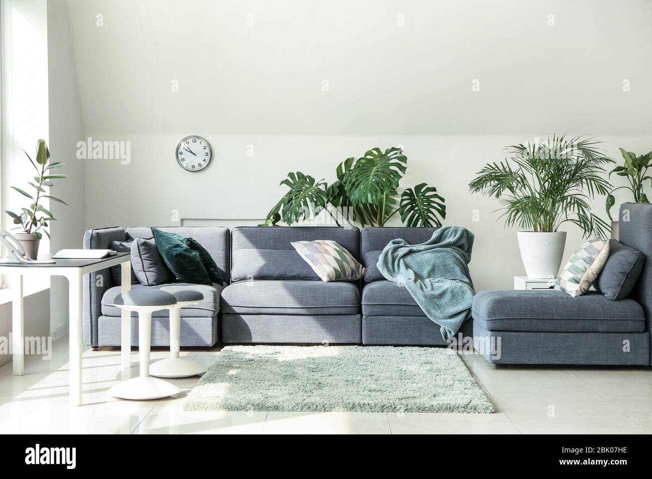 Interior of modern room with sofa and houseplants Stock Photo - Alamy