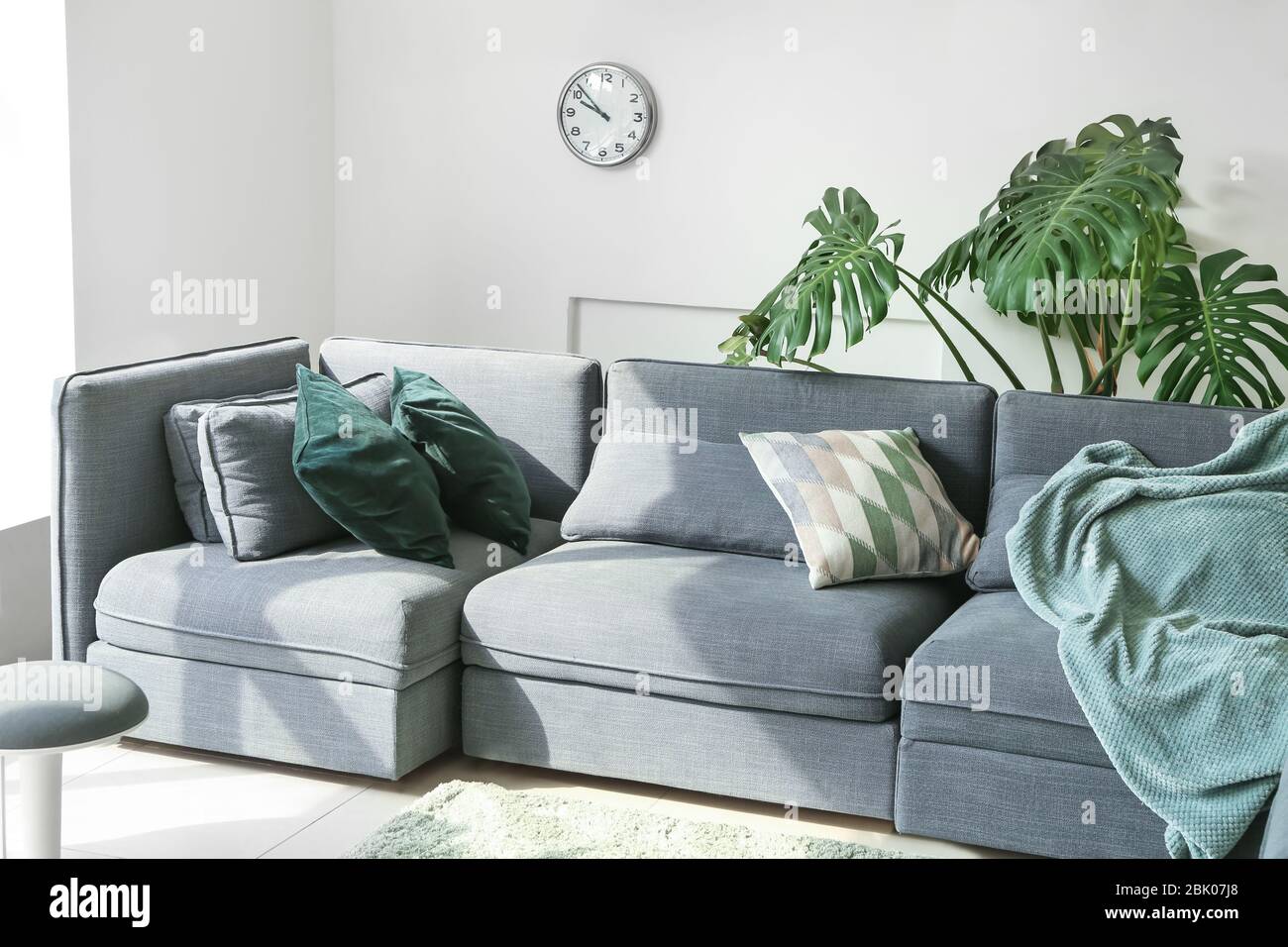 Interior of modern room with sofa and houseplants Stock Photo - Alamy